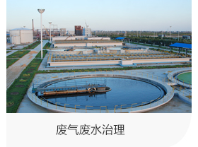 山東利豐環(huán)?？萍加邢薰井a(chǎn)品